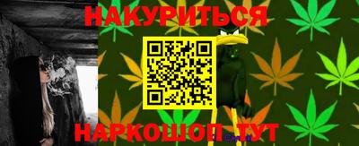 шишки Кингисепп