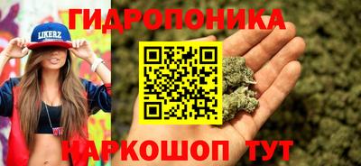твердый Кинель