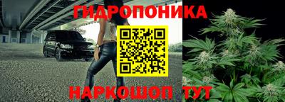дурь Кимры