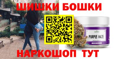 шишки Кингисепп