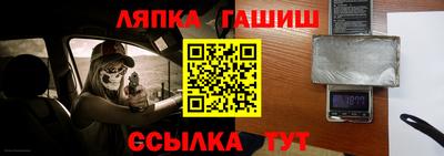 шишки Кингисепп