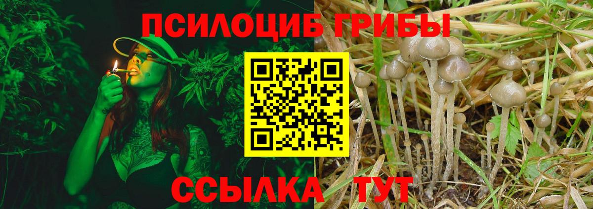 Галлюциногенные грибы мухоморы  Галлюциногенные грибы ЛСД  Буйнакск  Вход с VPN 
